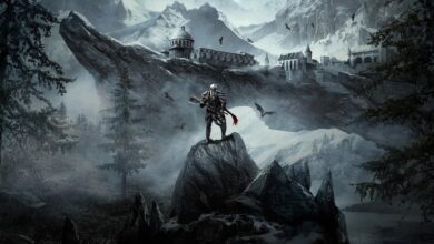 هل تنتج Netflix مسلسل بعنوان The Elder Scrolls ؟