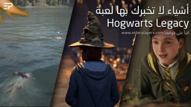 أشياء لا تخبرك بها لعبة Hogwarts Legacy