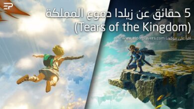 5 حقائق عن الأسطورة زيلدا دموع المملكة - Tears of the Kingdom