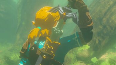 فيلم The Legend of Zelda كان قيد المناقشة منذ حوالي 10 سنوات