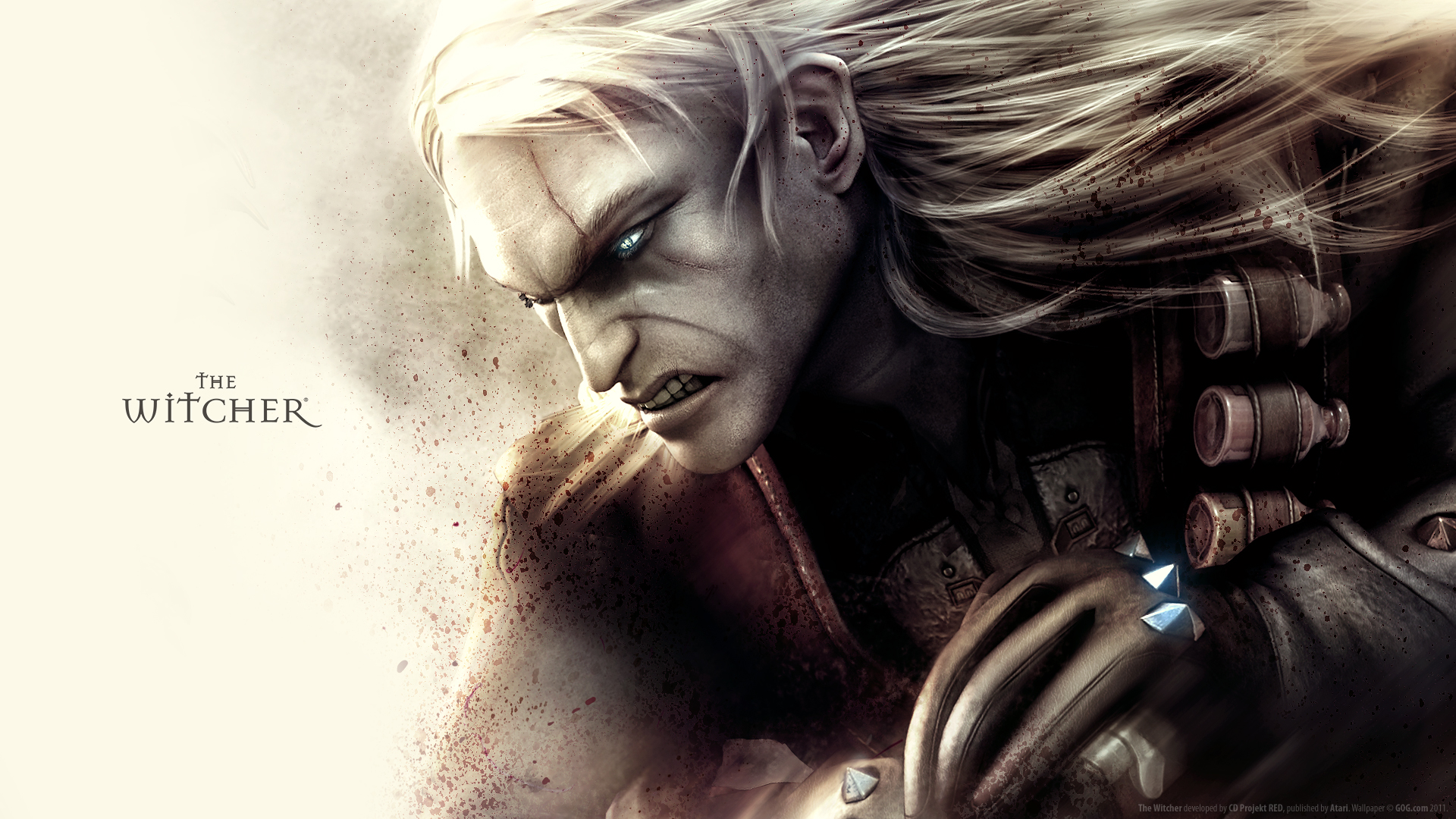 تاريخ سلسلة The Witcher
