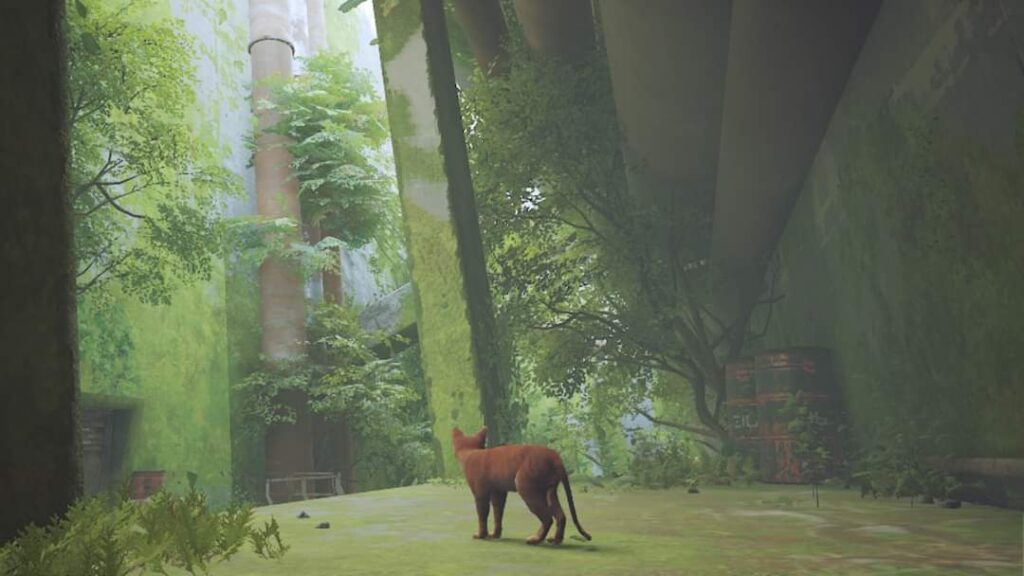 مراجعة Stray التقنية على جهاز Nintendo Switch